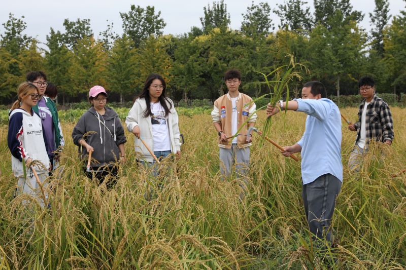 北京農學院舉行“大手拉小手，共繪豐收景”秋收節活動。校方供圖